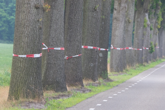 Marterstichting Edo van Uchelen bunzing hermelijn en wezel 7 van 9