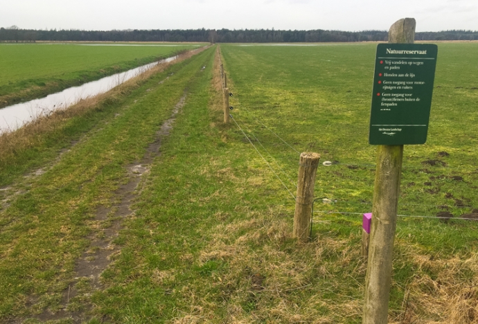 Marterstichting Edo van Uchelen bunzing hermelijn en wezel 1 van 9