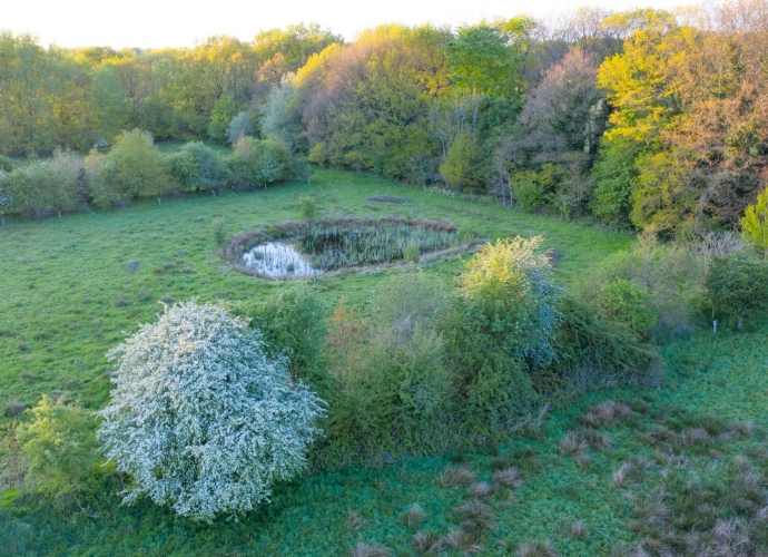 marterstichting landschap