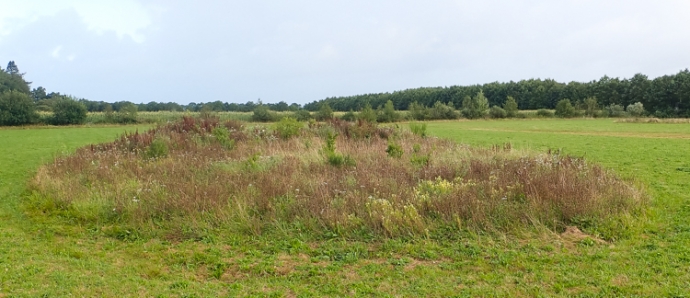 Marterstichting Edo van Uchelen bunzing hermelijn en wezel 8 van 9