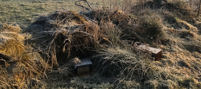 marterstichting mostela onderzoek 1 van 1