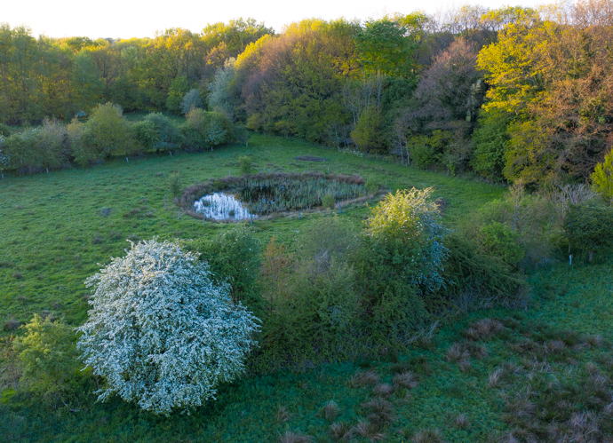 marterstichting kleinschalig landschap 1 van 1